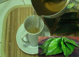 Punyalah banyak khasiat rebusan daun sirih yang mungkin kita tak tau atau pandang ringan manfaatnya. Air Rebusan Daun Sirih Anda Akan Rasai Perubahan Apabila Minum My Info Maya