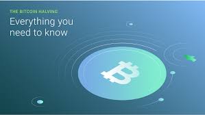 In the past, these bitcoin halvings have correlated with massive surges in bitcoin's price. The Bitcoin Halving Everything You Need To Know Bitfinex Blog