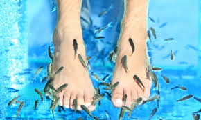 Fish Spa Experience And Ionic Foot Detox At Garra Spas Up To 57 Off Four Options Available In 2020 Fish Pedicure Spa Therapy Pedicure Spa