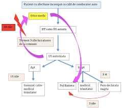7 orice vehicul care circula pe drumurile publice trebuie sa corespunda normelor tehnice privind siguranta circulatiei rutiere, protectia mediului si utilizarea conform destinatiei. Codul Rutier Reglementari Cu Privire La Evaluarea Medicala A Viitorilor Sau Actualilor Posesori De Permise Auto