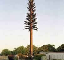 Artificial monopole antenna camouflaged pine tree antenna tower