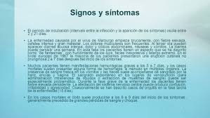El virus de marburgo es un 'primo' del ébola ligeramente menos mortal para el que no hay vacunas ni tratamiento. Virus De Marburgo Marburgo 1 Indice 2 Que Es Causas Y Consecuencias Brotes Transmision Signos Y Sintomas Datos Y Cifras Diagnostico Tratamiento Ppt Descargar