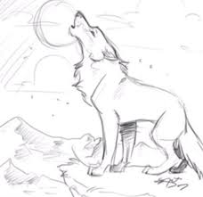 Dessin De Loup Zeichnen Tiere Zeichnen Wolf Zeichnung
