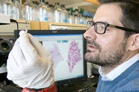 Behind the science: Dr. Daniel Schramek