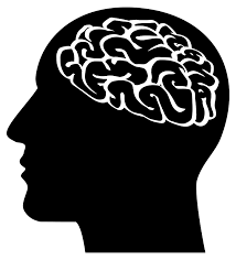 Yes, You are Smart Enough for Graduate School