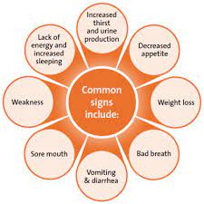 There are symptoms of this form of kidney failure; Chronic Kidney Renal Failure