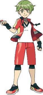 * means there's a mega evolution with that type vampire squid: Pokemon Character Pokemon Pokemon Omega Ruby Pokemon Oras