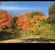 Portable Restoom Solutions Pemberwick CT