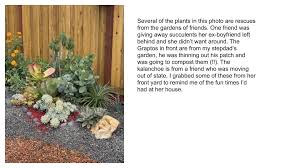 Amanzed los angeles, ca(zone 10a) oct 15, 2011. Brody S Lovely Low Cost Succulent Garden Debra Lee Baldwin
