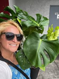 The Monstera Diaries