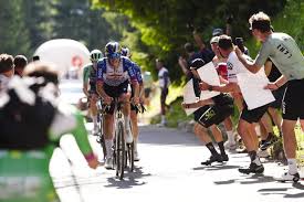 Trend Google: memorial marco pantani