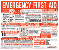 Printable Chart Of First Aid Procedures 1 2019 Printable