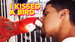 @tatered's video Tweet