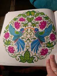 jardin secret johanna basford johanna basford coloring book secret garden colouring johanna basford coloring