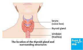 Thyroid Cancer