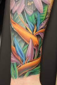 Ideas For Bird Of Paradise Flower Tattoos Bird Of Paradise Tattoo Paradise Tattoo Birds Of Paradise Flower