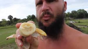 Maybe you would like to learn more about one of these? Blue Bananas Are A Thing That Actually Exist And Taste Like Vanilla Ice Cream 22 Words