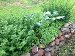 We did not find results for: Building A Compost Bin 6 Ways Tenth Acre Farm