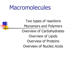 Macromolecules Two Types Of Reactions Monomers And Polymers