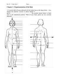 In order to provide exquisite care and understand the inner in order to describe body parts and positions correctly, the medical community has developed a set of anatomical positions and directional terms. Label Every Part Of The Body Fill Online Printable Fillable Blank Pdffiller