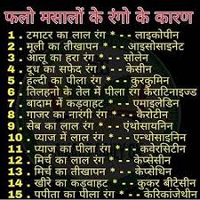 Pin On Amazing Fact
