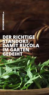Rucola Selbst Anbauen Worauf Es Ankommt In 2020 Rucola Rucola Anbauen Pizzabelag