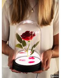 Eine rose wie in der schöne und das biest kann man auf unserer website im online katalog bestellen. Die Schone Und Das Biest Geschenke Merchandise Online Funidelia
