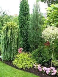 Nadelgarten Ideen 2 Grosse Nadelbaume Aber Verschiedene Schone Nadelbaum Textu Aber Grosse Ideen Nadelbaum Na In 2020 Baume Garten Garten Ideen Immergruner Garten