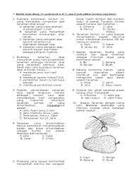 Soal Prakarya Budidaya K13