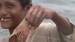 Catching Prawns in India