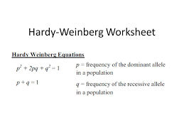Published bydamon benson modified over 4 years ago. Hardy Weinberg Worksheet Ppt Video Online Download