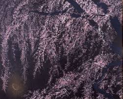 千住博 夜桜 山種美術館 さくら デザイン 日本画 樱花