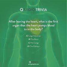 Have fun making trivia questions about swimming and swimmers. Pin On Qardio Trivia
