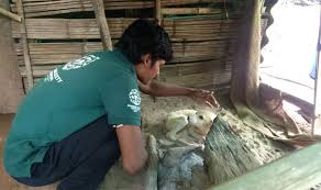 Image result for kerla flood