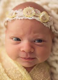 Charlie Jude Donahue