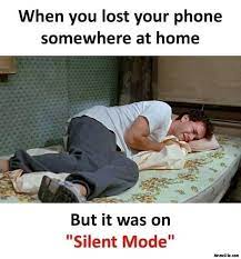 When You Lost Your Phone Somewhere At Home But It Was On Silent Mode Meme Memezila Com