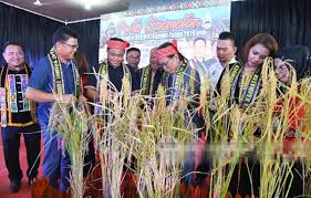 Inilah peluang keemasan untuk kita eratkan hubungan. Kepelbagaian Etnik Jadi Teras Kekuatan Malaysia Sebagai Negara Maju Utusan Borneo Online