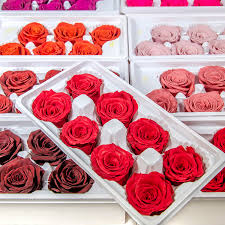 Maybe you would like to learn more about one of these? Fresh Bulk Flowers China Trade Buy China Direct From Fresh Bulk Flowers Factories At Alibaba Com