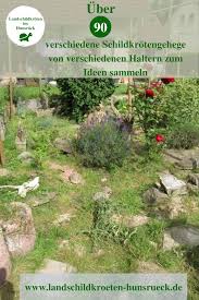 Verschiedene Freigehege In 2020 Schildkrotengehege Fruhbeet Schildkrote Schildkrote Gehege