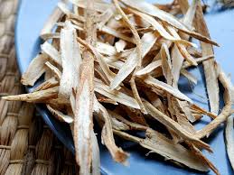 Image result for Astragalus