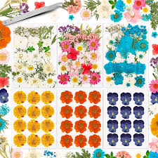 Free shipping on orders over $25 shipped by amazon. Buy Whaline 100pcs Natural Dried Flower Leaves Set 6 Pack Mixed Real Pressed Flowers Pink White Blue Decorative Pressed Petals Leaves Assorted Sizes Dried Flowers For Diy Resin Candle Soap Nail Art