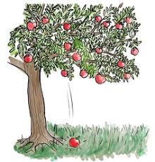 Family Idioms