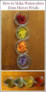 How To Make Watercolor Paints From Flower Petals Art For Kids Nature Crafts Fun Crafts For Kids