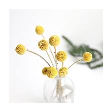 Check spelling or type a new query. 30pcs Dried Craspedia Flowers Billy Button Balls Flowers Fake Silk Yellow Flower Super Offer C13b6 Goteborgsaventyrscenter