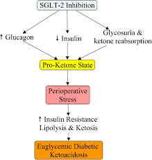 Image result for SGLT2 Inhibitor