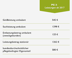 Im zuge der pflegereform wurde der begriff der pflegebedürftigkeit neu definiert. Https Curita24 De Files Pflegegrade 2017 Pdf