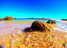 Check spelling or type a new query. Port Elizabeth 2021 Best Of Port Elizabeth South Africa Tourism Tripadvisor