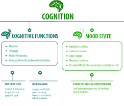 Hydration Mood State And Cognitive Function Hydration For