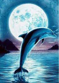 full moon dolphin 35 pieces dolphin painting dolphin art dolphin wall art