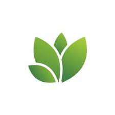 Modelo De Vetor De Logotipo De Folha Verde Clipart De Saude Logo Icones Imagem Png E Vetor Para Download Gratuito In 2021 Leaf Logo Fresh Logo Design Plant Logos